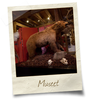 museum