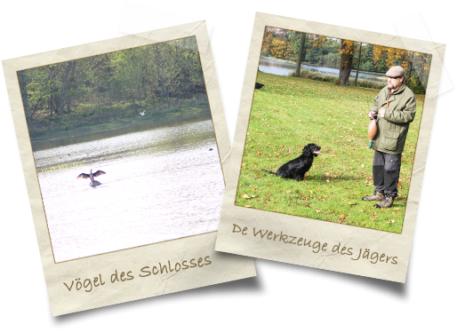 nature-schule-6