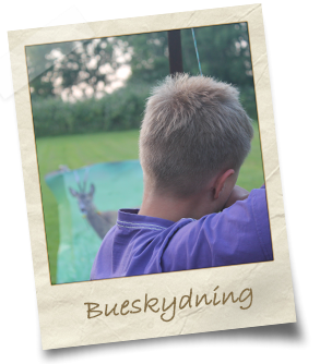 bueskydning