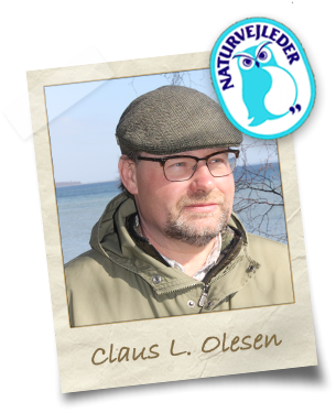 claus