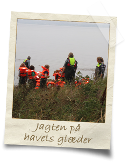 jagten-på-havets-glæder