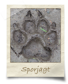 sporjagt_2